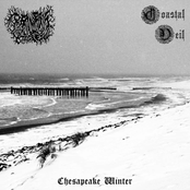 Chesapeake Winter