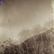 orange blossoms (Remastered 2017)