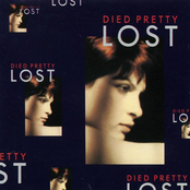 Lost by Died Pretty