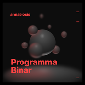 Programma Binar