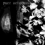 puer aeternus