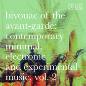 Bivouac of the Avant-Garde: Contеmporary Minimal, Electronic and Experimental Music, Vol. 2
