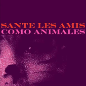 Como animales