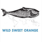 I'm Coming Home by Wild Sweet Orange