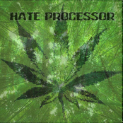 Hate Processor