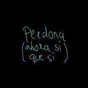 Perdona (Ahora sí que sí)