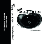 Çıkışta Vukuat Var...(Turkish Punk Reissues#02)