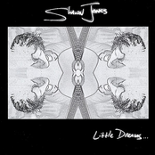 Little Dreams