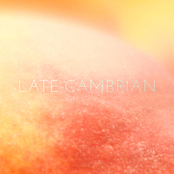 Resolution by Late Cambrian