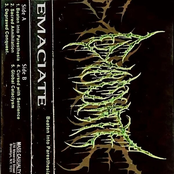 BEATEN INTO PARESTHESIA