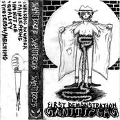 First Demonstrations