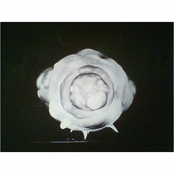 Modest EP 2007 (Promo)