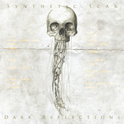 Tear Me Open by Synthetic Scar