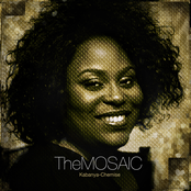 TheMOSAIC