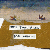 Horse Jumper of Love: Demo Anthology