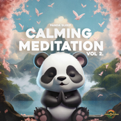 Calming Meditation Vol.21