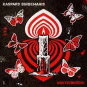 Naktstaureņi (Radio Edit)