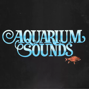 Aquarium sounds