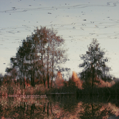 processed fieldrecordings