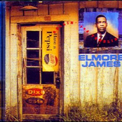 Be Careful What You Do by Elmore James