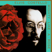 All Grown Up by Elvis Costello