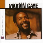 Ain't No Mountain High Enough