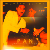 P.A.N. (Playa Ass Nigga)