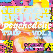The Great British Psychedelic Trip Vol 1 1966-1969