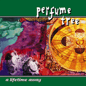See Me Smile by Perfume Tree