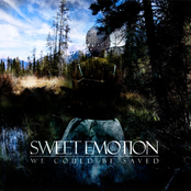 Sweet Emotion: we could be saved