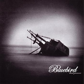 Wounded Kids by Bluebird