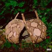 THEODORE & ANDRE [Explicit]