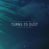 Turns to Dust (Subsets Remix)