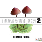 DJ Mark Farina: Mushroom Jazz 2