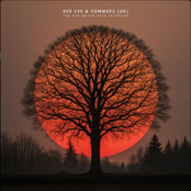 The Sun Never Sets In Dakar