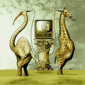Virtual Proximity