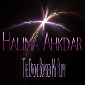 The Drone Bombed My Puppy