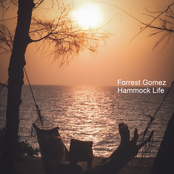Hammock Life