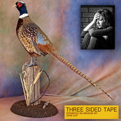 Three Sided Tape Volume Two