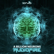 A Billion Neurons