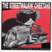 Dirty Mockingbird by The Streetwalkin' Cheetahs