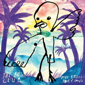 The Bug Club: Rare Birds: Hour of Song