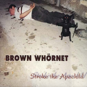 Stroke the Apechild