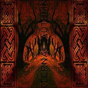 From The Eastern Forest