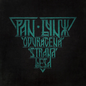 Odvrácená strana lesa