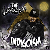 Leopard Shepard by The Underachievers