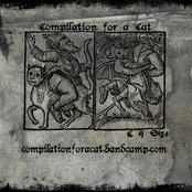 Compilation for a Cat