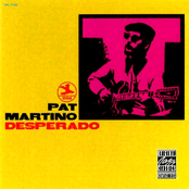 A Portrait Of Diana by Pat Martino