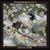 Phosphorescent - Revelator Artwork