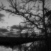 Elusive Spaces